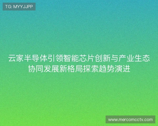 云家半导体引领智能芯片创新与产业生态协同发展新格局探索趋势演进