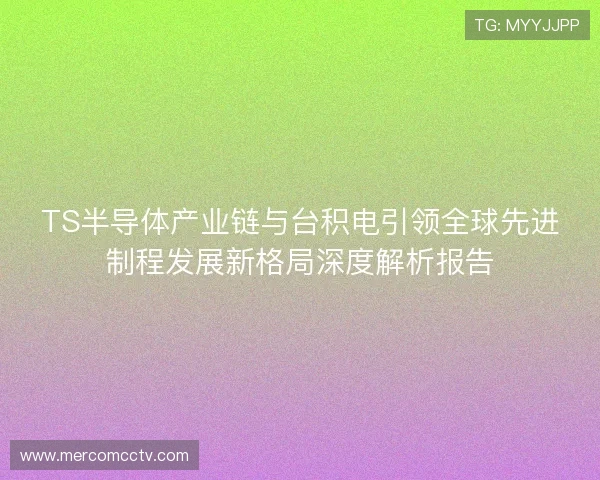TS半导体产业链与台积电引领全球先进制程发展新格局深度解析报告